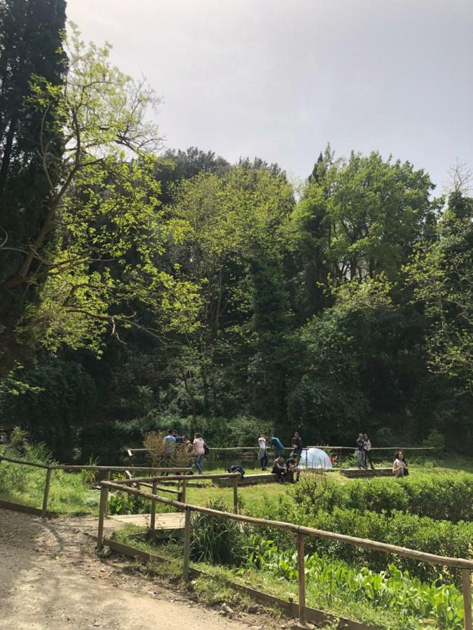ヴィラ ムソリーノ メッシーナ エクステリア 写真